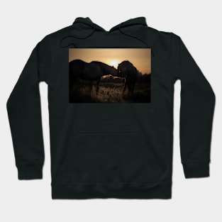 Sunset Hoodie